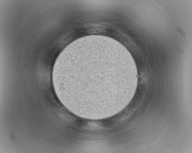 X0000115050753200911231153