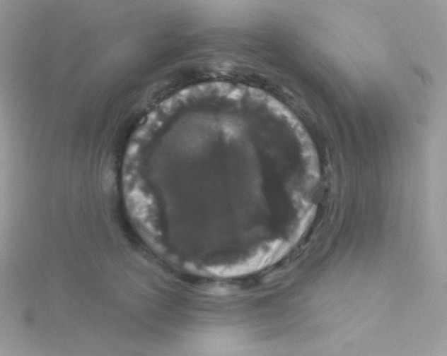 X0000115050754200911231153