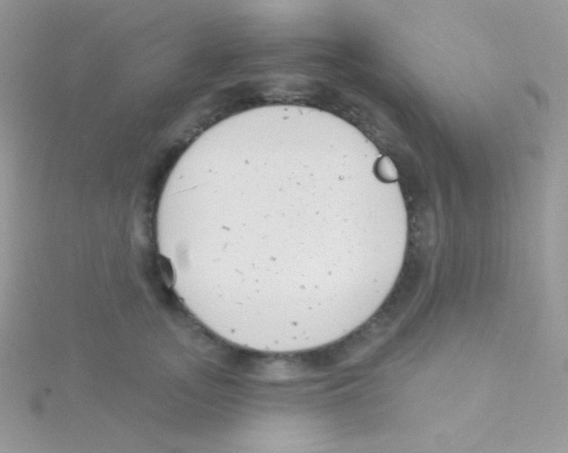 X0000115050755200911231153