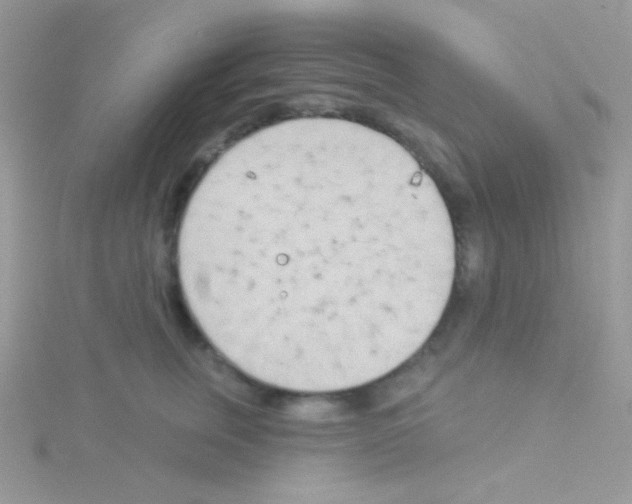 X0000115050759200911231153