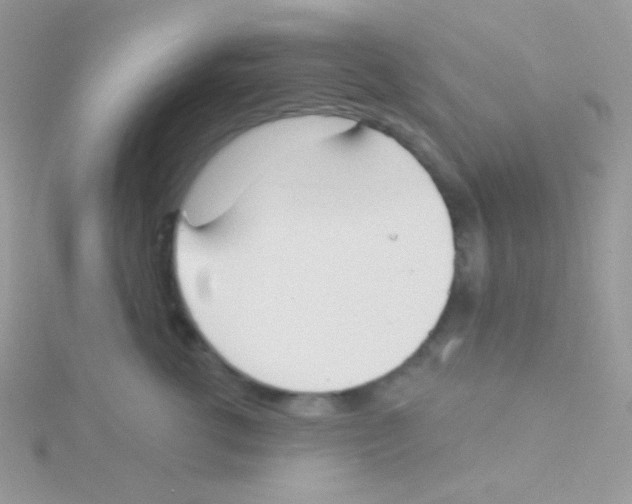 X0000115050762200911231153