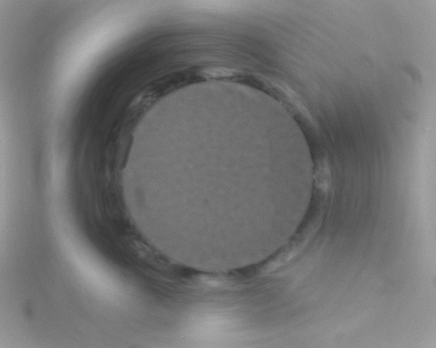 X0000115050763200911231154