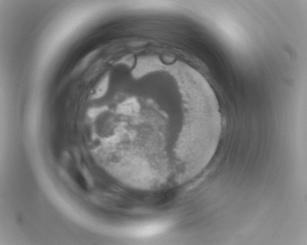 X0000115050765200911231154