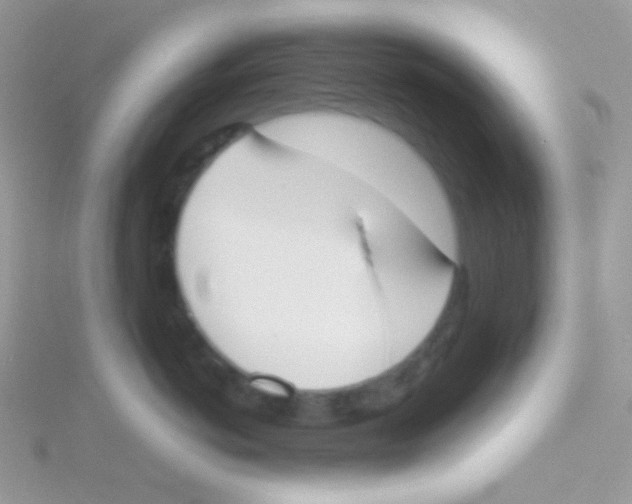 X0000115050766200911231154