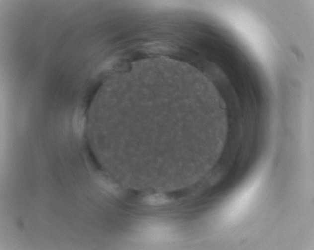 X0000115050767200911231154