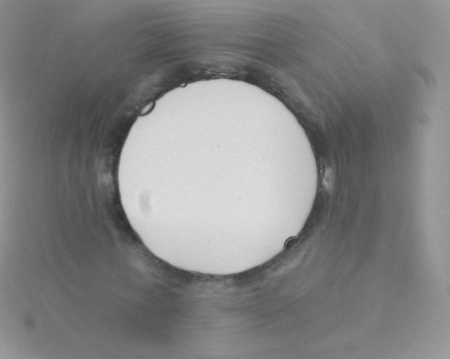 X0000115050771200911231153