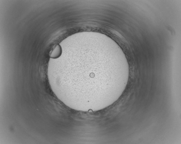 X0000115050774200911231153