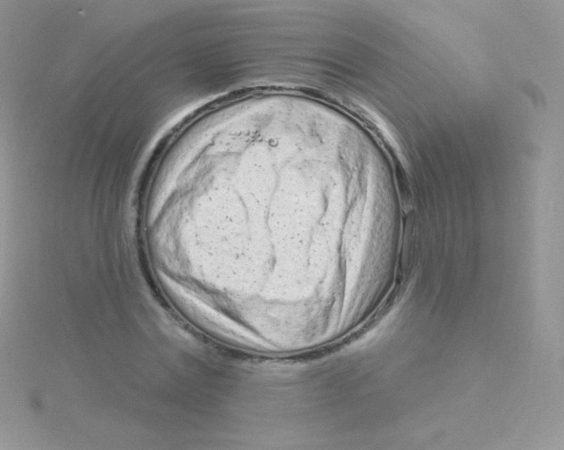 X0000115050779200911231153