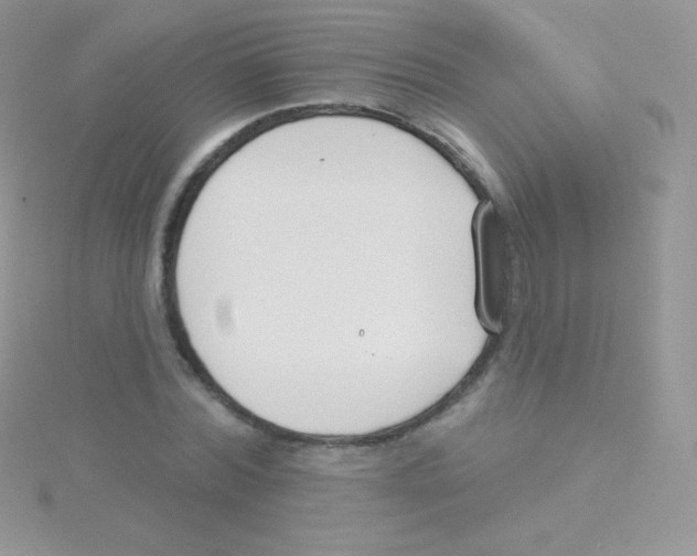 X0000115050780200911231153