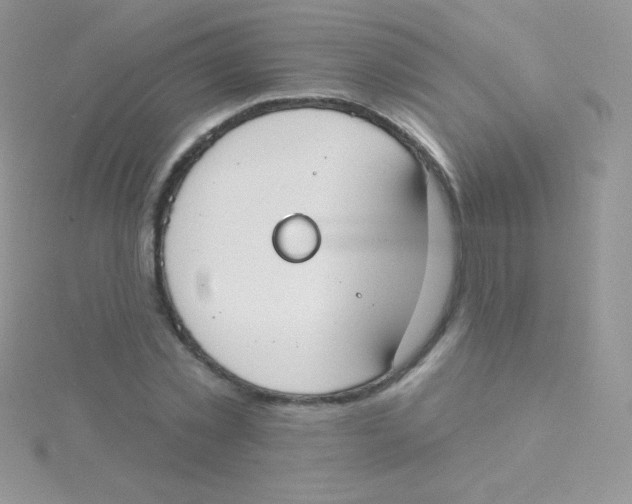 X0000115050781200911231153