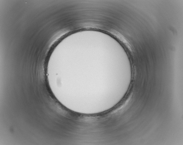 X0000115050782200911231153