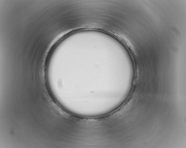 X0000115050784200911231153