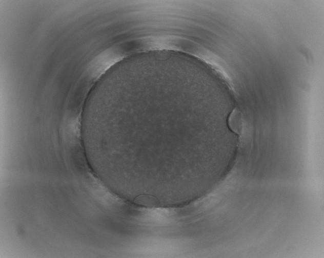 X0000115050785200911231153