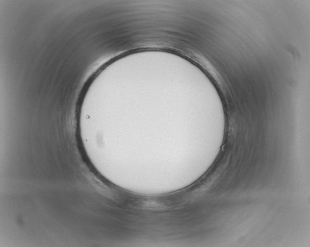 X0000115050787200911231153