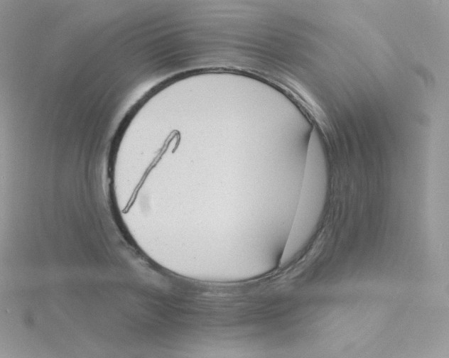 X0000115050788200911231153