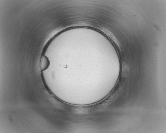 X0000115050789200911231153