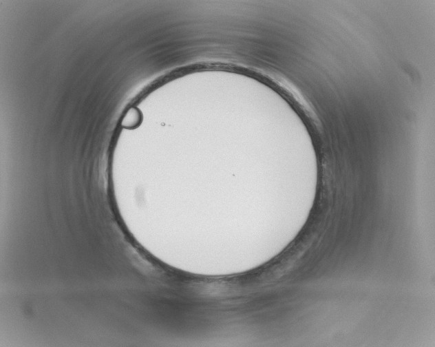 X0000115050791200911231153