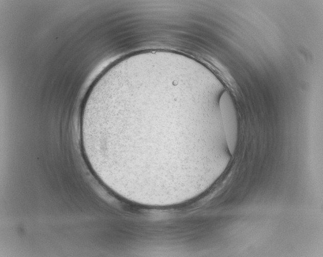 X0000115050796200911231153