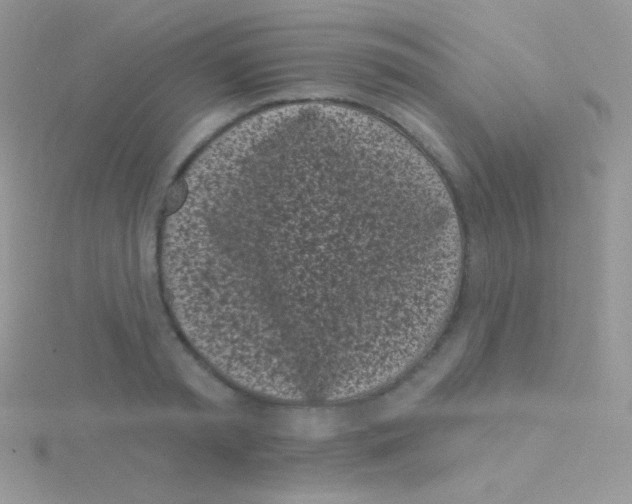 X0000115050797200911231153