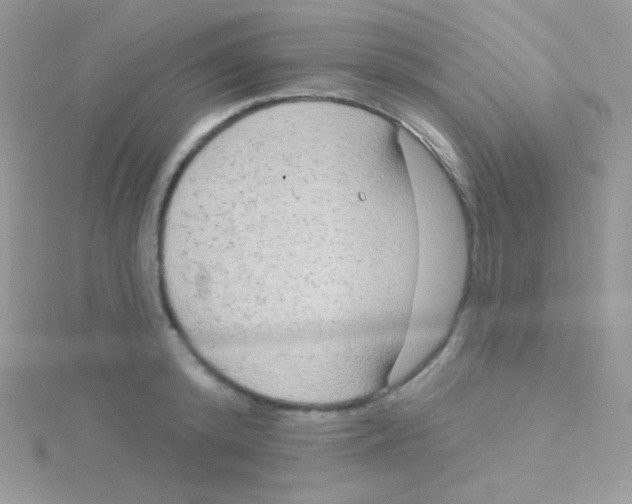 X0000115050800200911231153