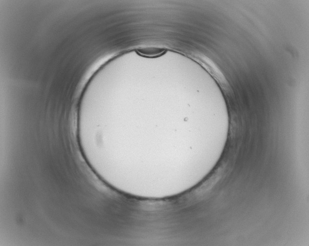 X0000115050804200911231153