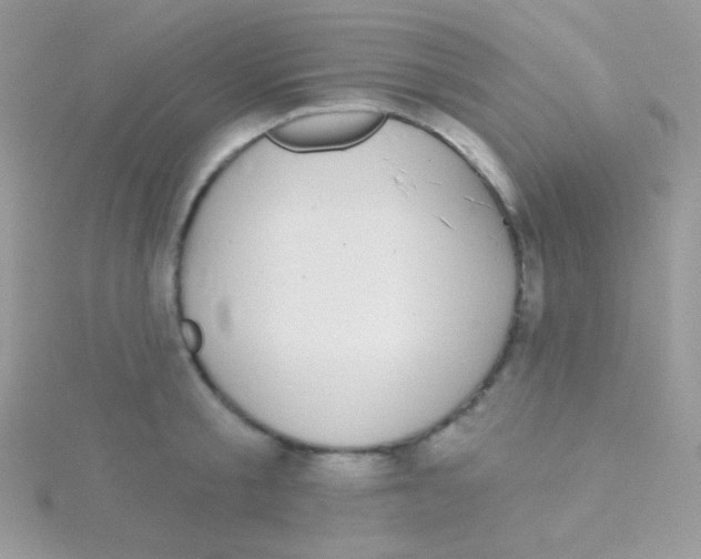 X0000115050805200911231153