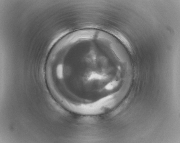 X0000115050806200911231152