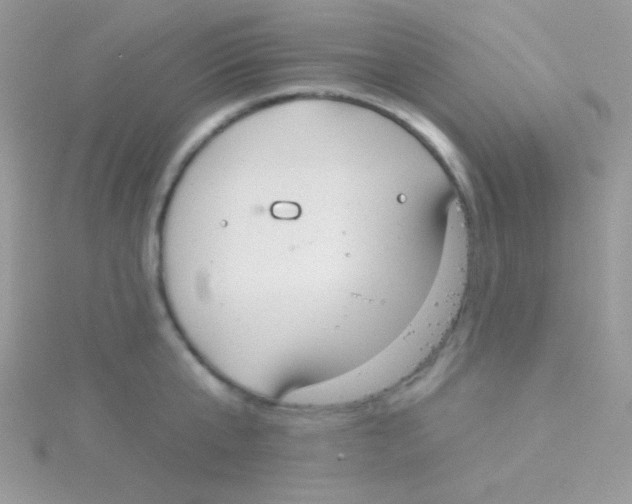 X0000115050807200911231152