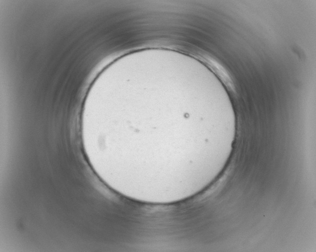 X0000115050808200911231152