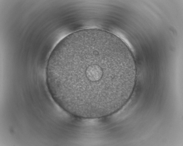 X0000115050810200911231152