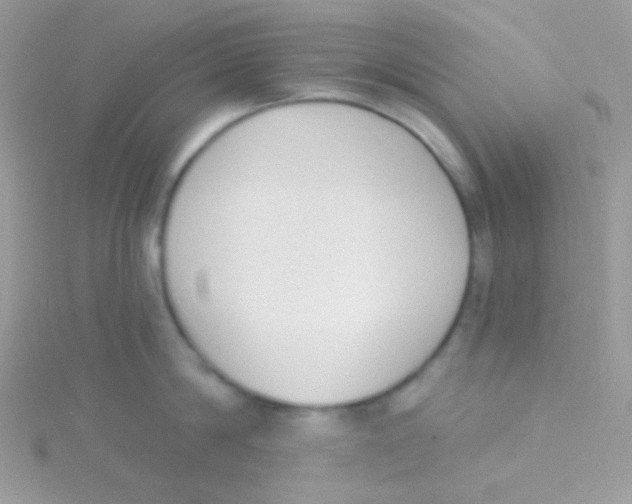 X0000115050814200911231152