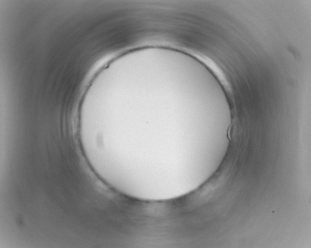 X0000115050815200911231152