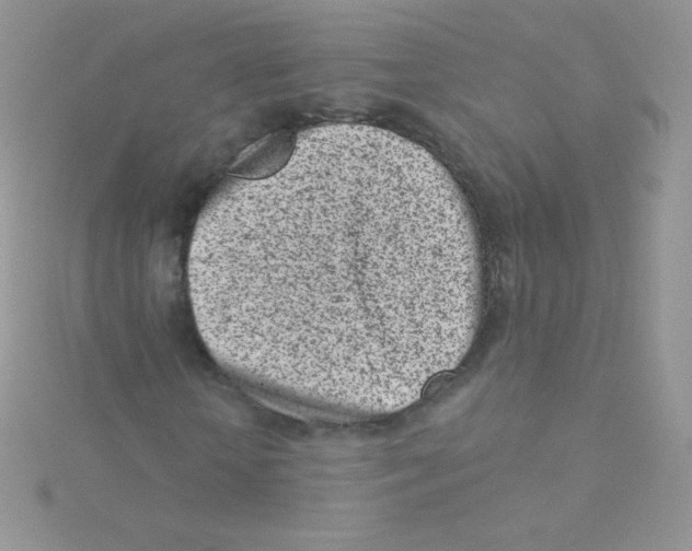 X0000115050818200911231152