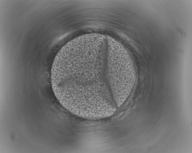 X0000115050822200911231152