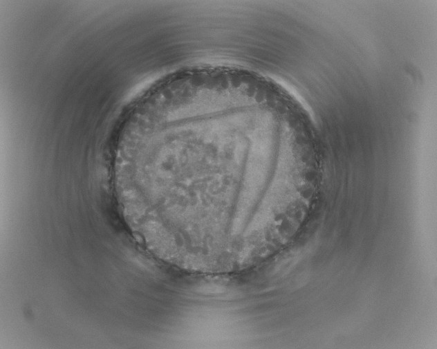 X0000115050823200911231152