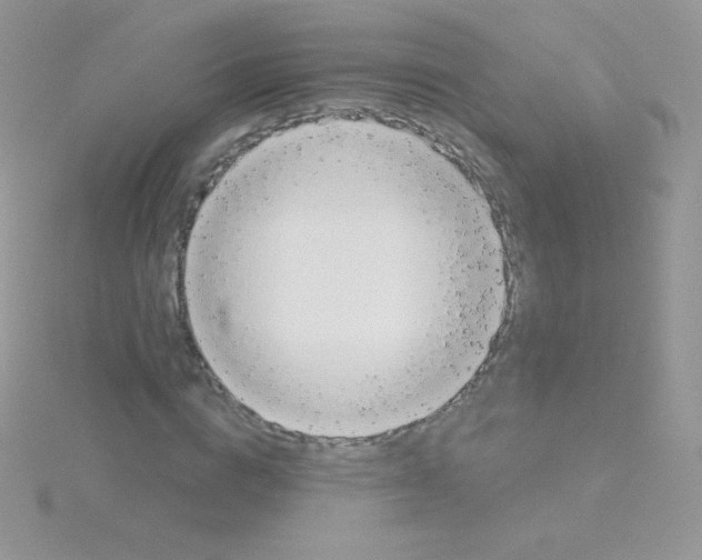 X0000115050824200911231152