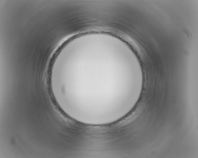 X0000115050828200911231152