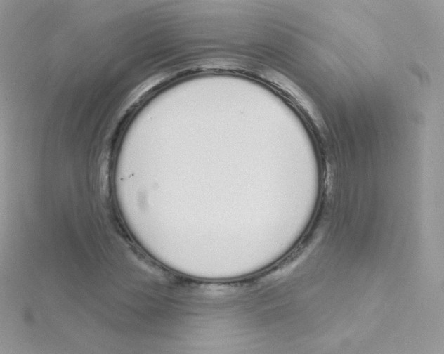 X0000115050829200911231152