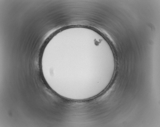 X0000115050830200911231152