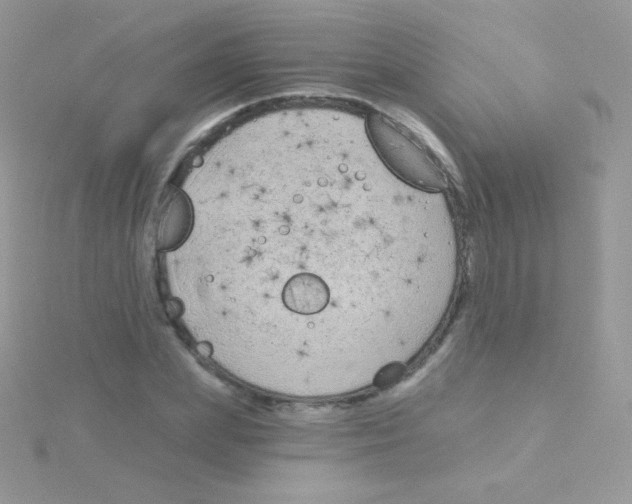 X0000115050831200911231152