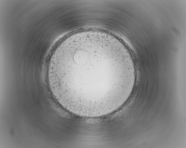 X0000115050832200911231152