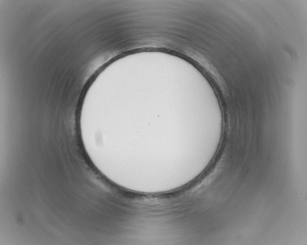 X0000115050834200911231152