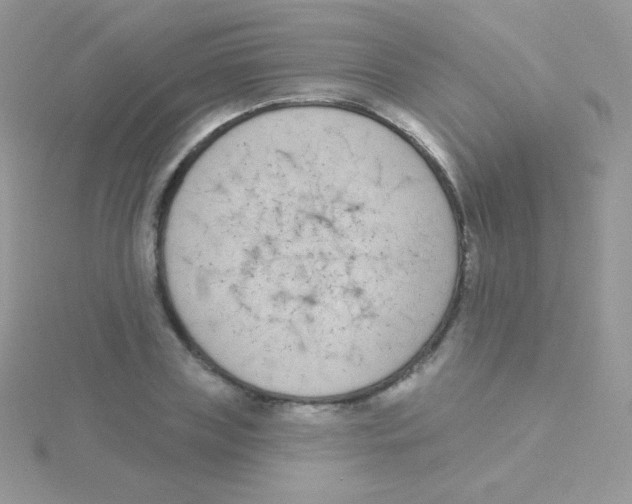 X0000115050835200911231152