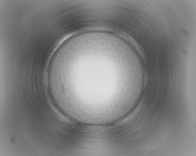 X0000115050836200911231152