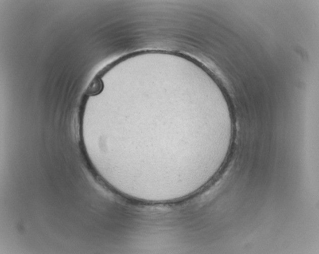 X0000115050838200911231152