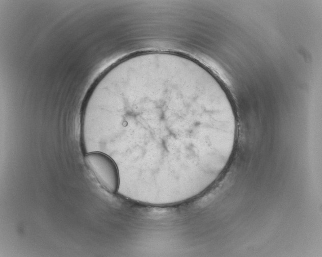 X0000115050839200911231152