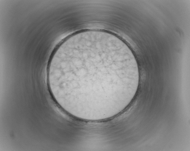 X0000115050840200911231152