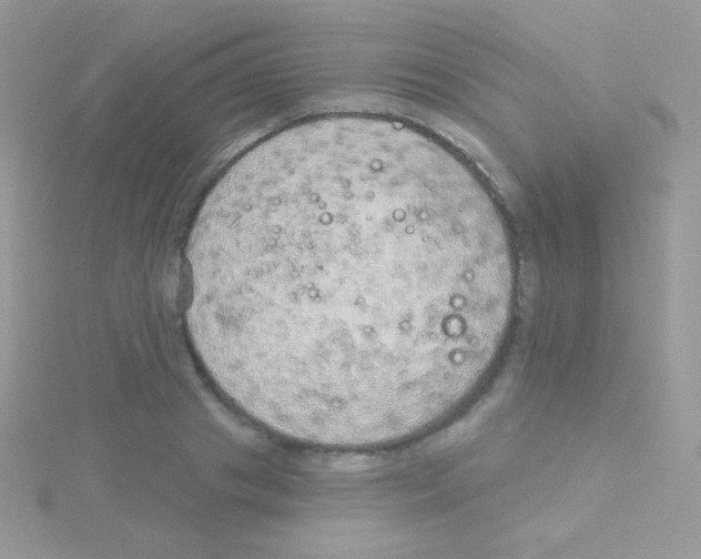 X0000115050841200911231152