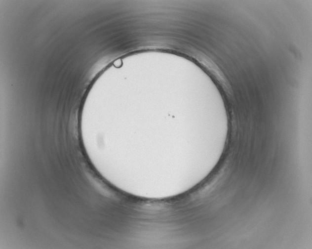 X0000115050842200911231152