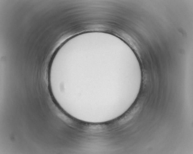 X0000115050843200911231152